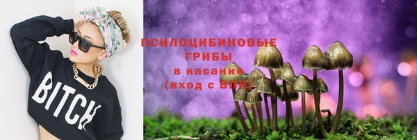 хмурый Михайлов