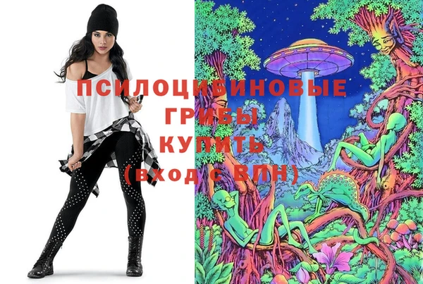 круглые Михайловск