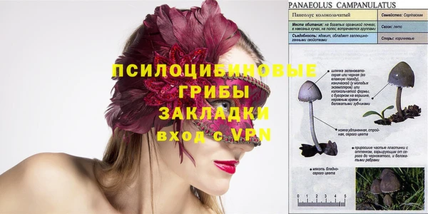 хмурый Михайлов